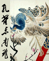 孔雀东南飞