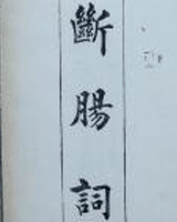 断肠词