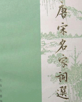 唐宋名家词选
