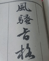 风骚旨格