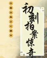 初刻拍案惊奇