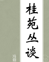 桂苑丛谈