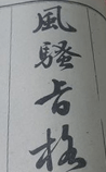 风骚旨格