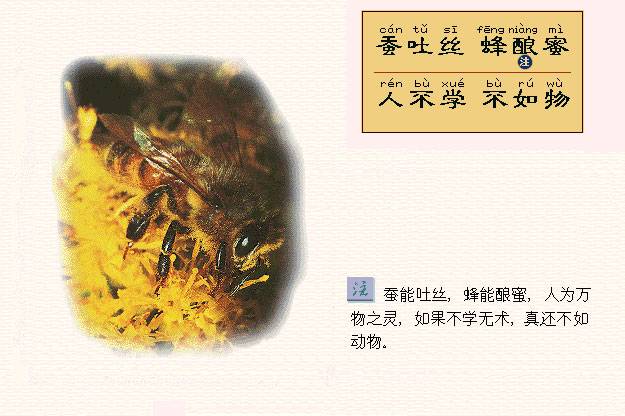 蚕吐丝，蜂酿蜜。人不学，不如物。