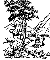 第十一象:申戍,兑下坎上,节