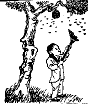 第十五象:戊寅,离下震上,丰
