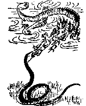 第四八象:辛亥,离下乾上,同人