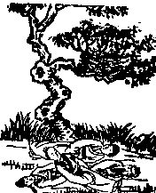 第九象:壬申,乾下离上,大有